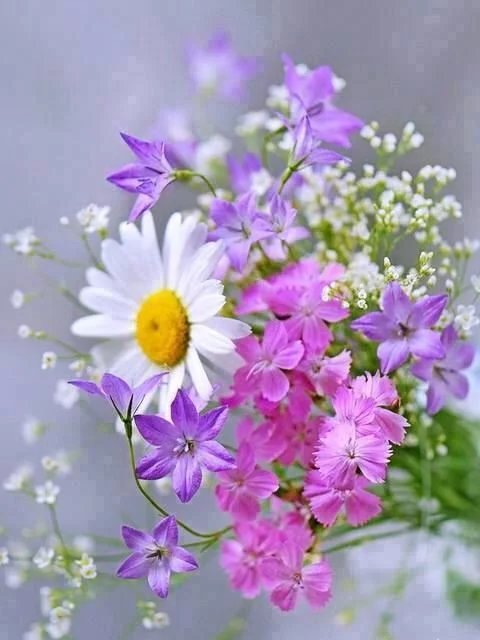 f2acce.webp