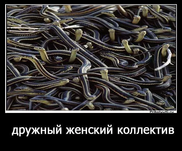 f2ajgj.webp