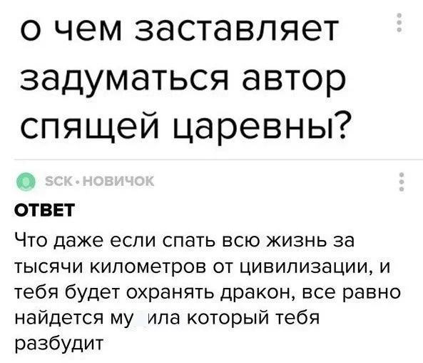 f2bc401473db23025a93082e.webp