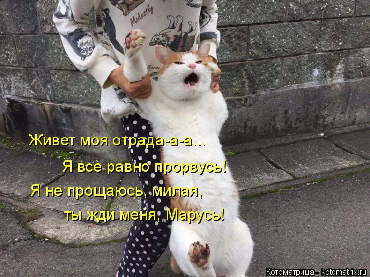 f2bdaj.webp