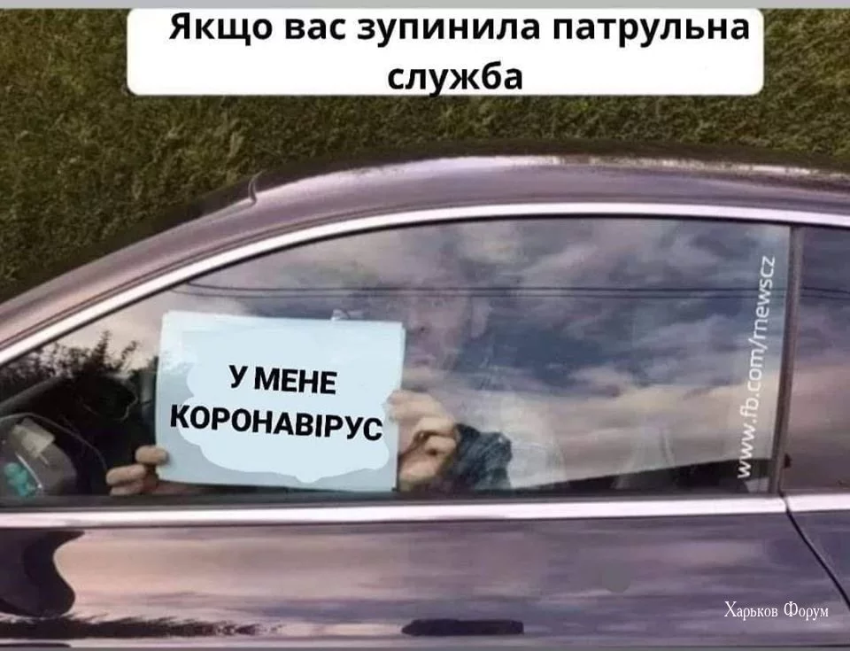 f2c346f3f3546e1c4.webp
