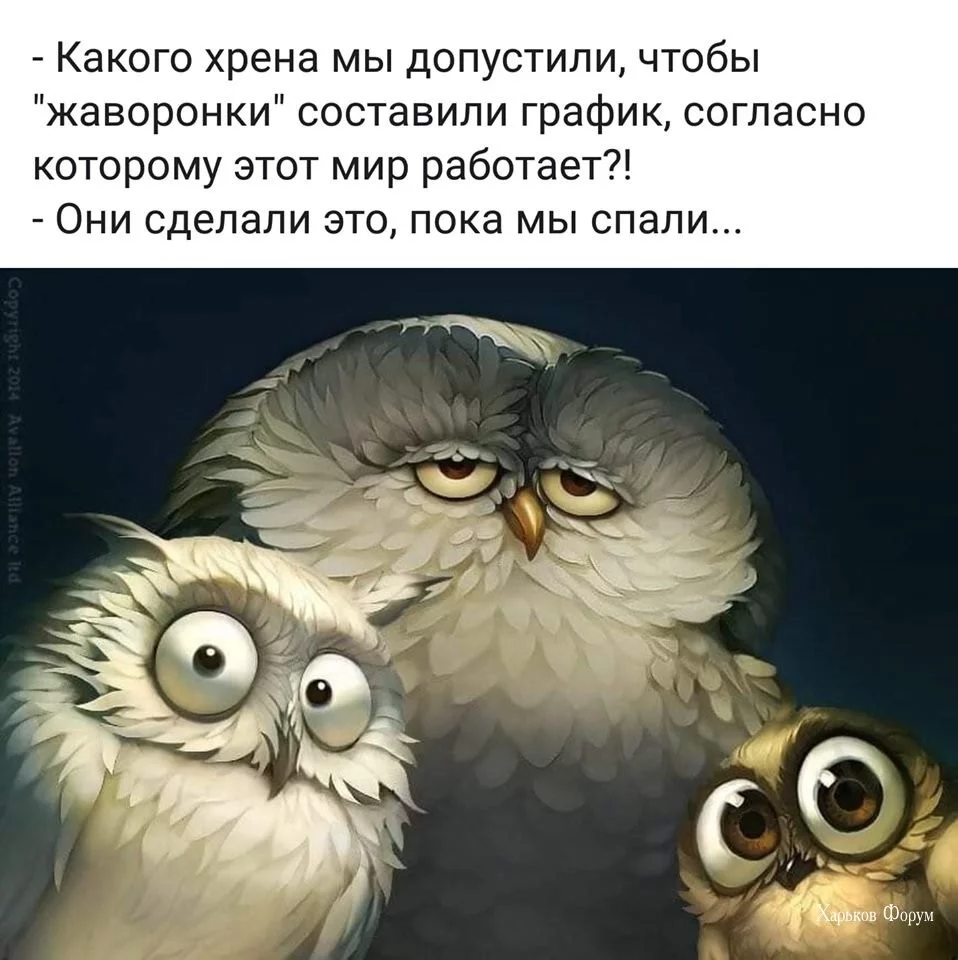 f2cacac6c6a172c74a.webp