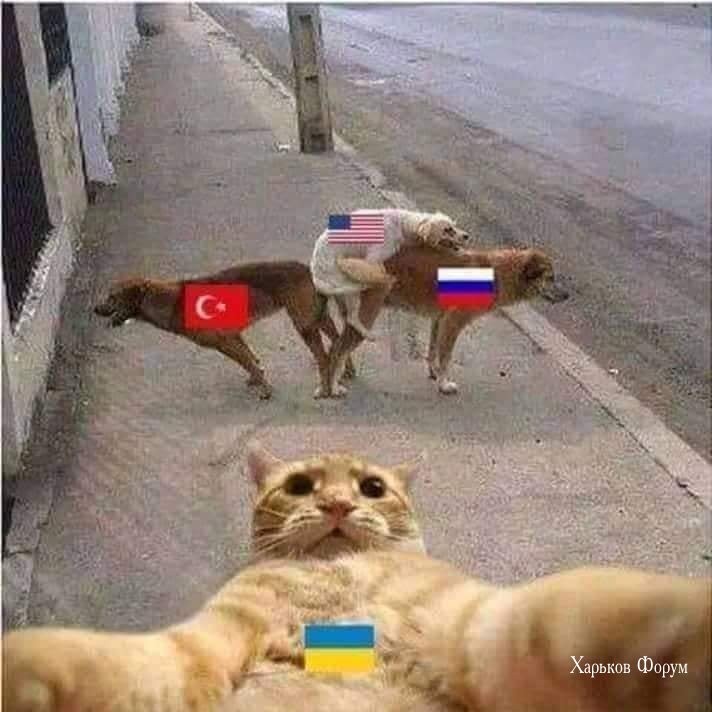 f2ccb736b7ff87b54b9b7.jpg