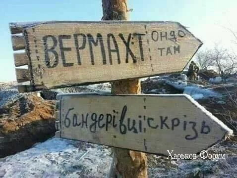 f2d342c6cedd0ec24fd.webp