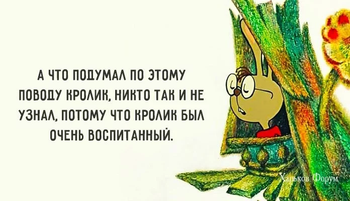 f2f22b693bd686e5.webp