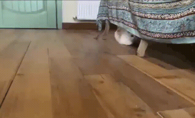 f2fa35114360fac627e475ba.gif