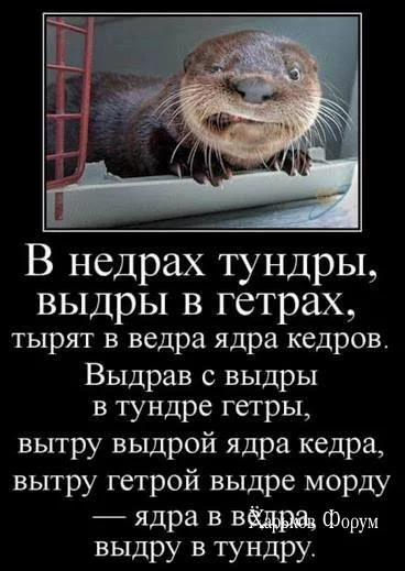 f306e4acaf5423b57538b61.webp