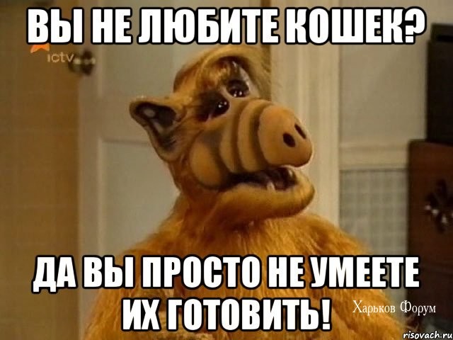 f31dc23031a7fc012eb11.jpg