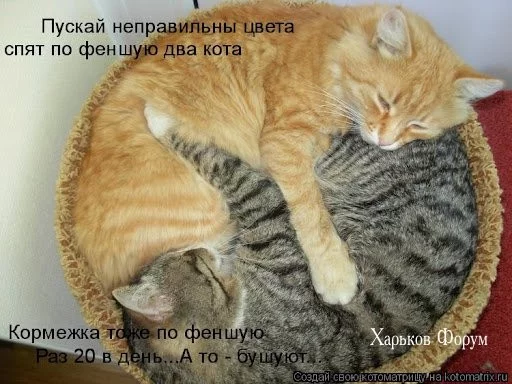f31f1d35e478f7c1.webp