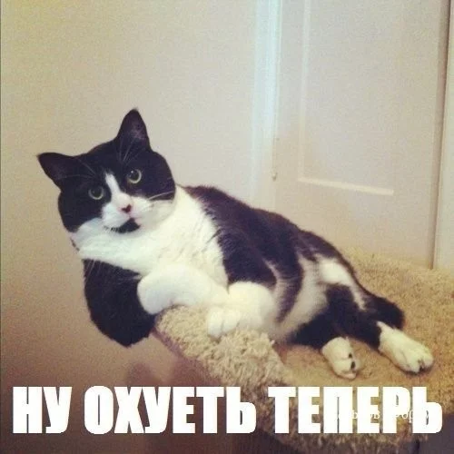 f331d0a12e071fc7b6380.webp