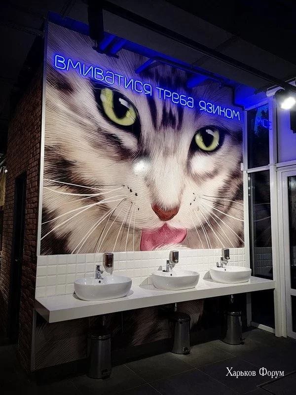 f33aa1e299ca10707ac.webp