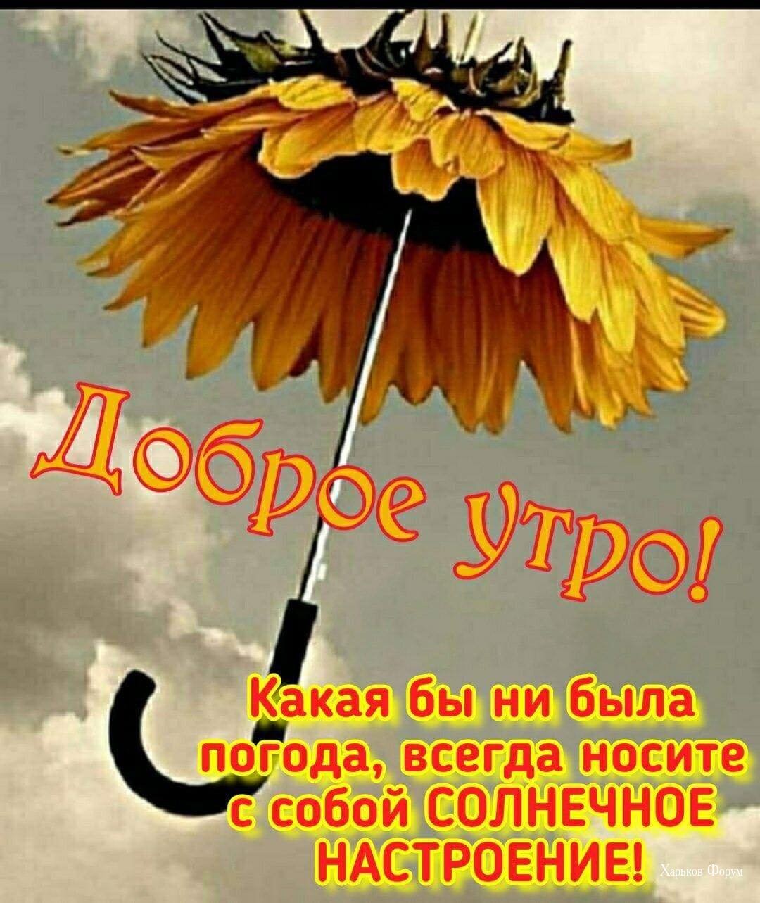 f34df290168c5576a3.jpg
