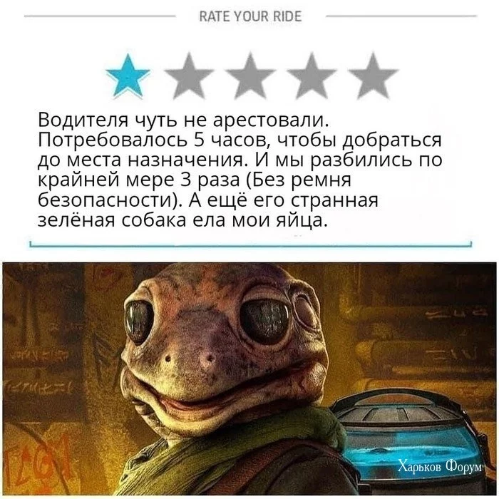 f352243890018e57c4e9ffc.webp