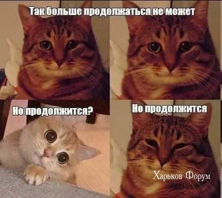 f35885a88d18c1688b0dfde4.webp