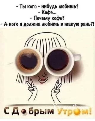 f35c2c13c54a851c33d.webp