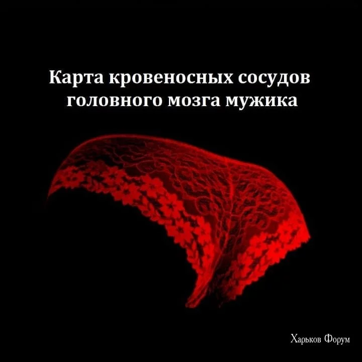 f35dbb776159d5ef390.webp