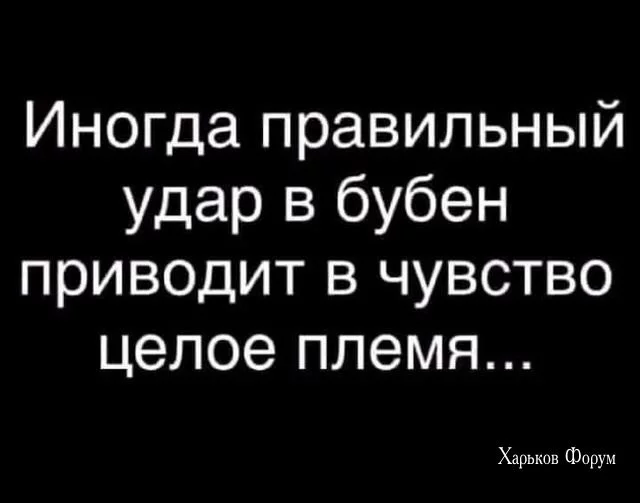 f3751cbd867ea568a8078.webp