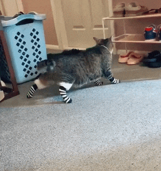 f378a34cb11857fc79ff50a3.gif