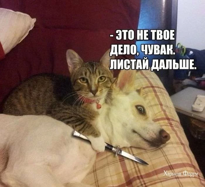 f37fd6e0188b97762.webp