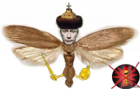 f3bcfc.jpg