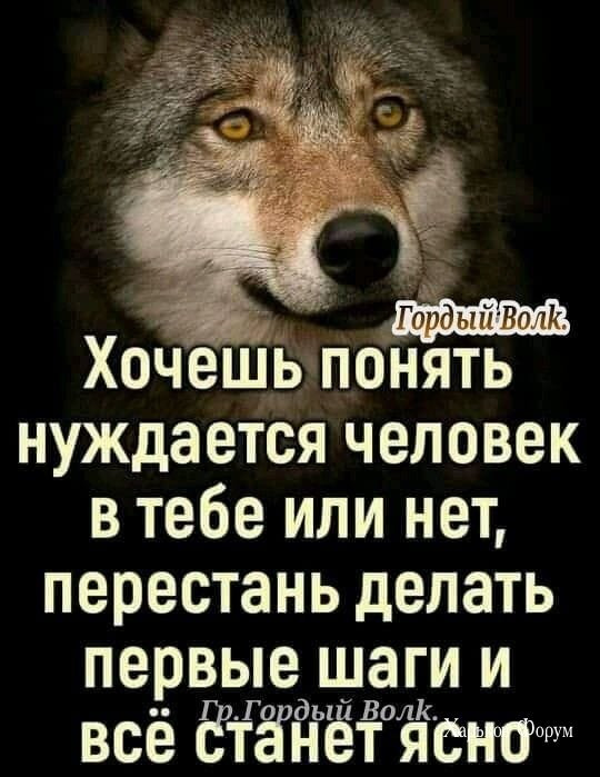 f3bd91b676f1956f3fc.jpg