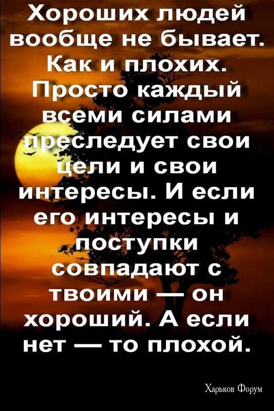 f3c9539c2dd2bcac95dd87fa.jpg