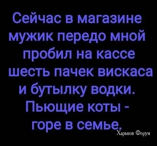 f3cbc8a8eae79fb3fbdfd97.webp