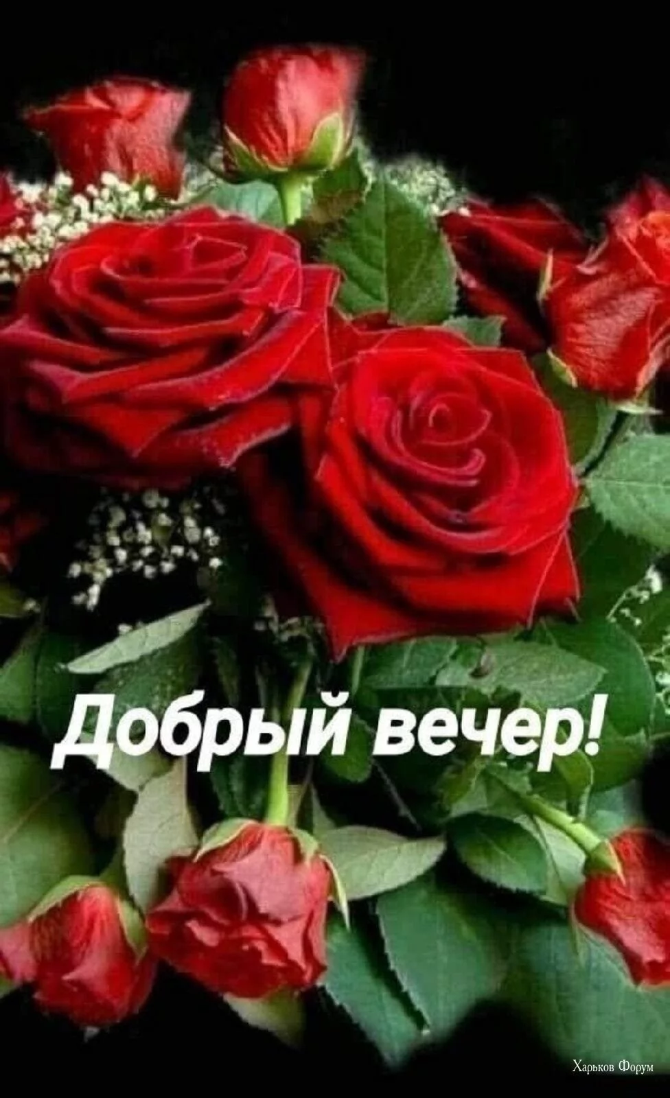 f3d96a730c7d54279d546d.webp