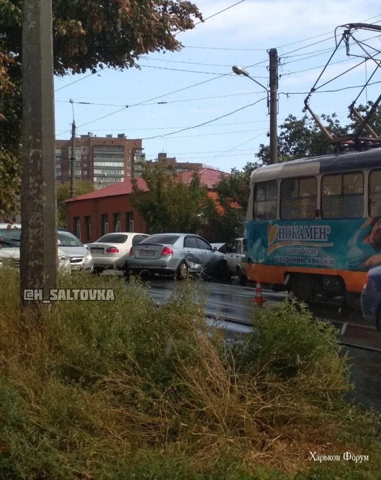 f3e5a20afd0e58eb.webp
