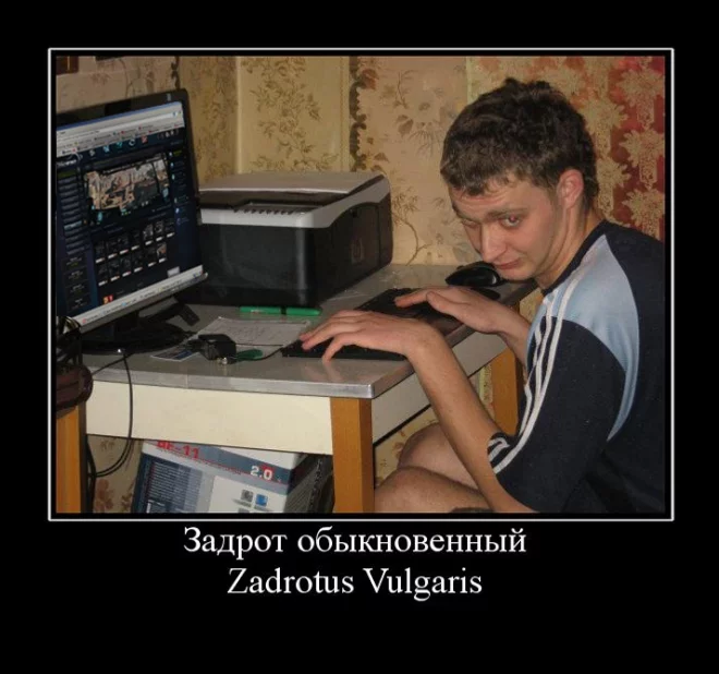 f3f5bcb7fd.webp