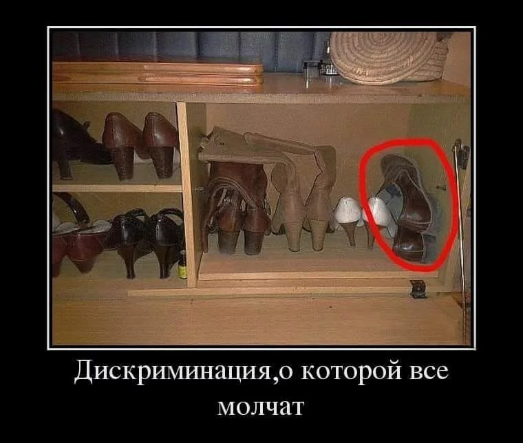 f3fghd.webp