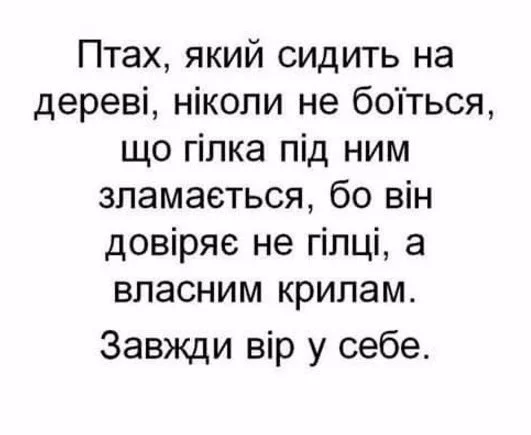 f3gbfg.webp
