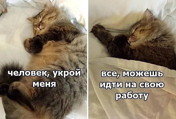 f3jhcj.webp