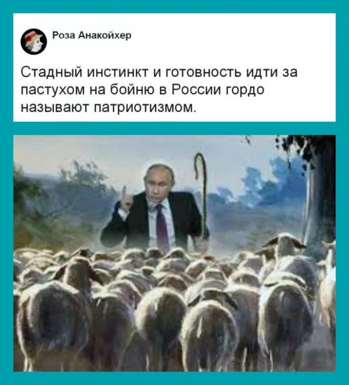 f419a31eabc8075ee06c8c7ed74010d2.webp