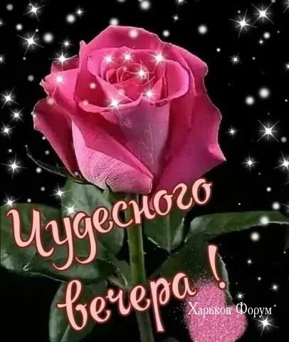 f41c36f15367bb2c24bb878.webp