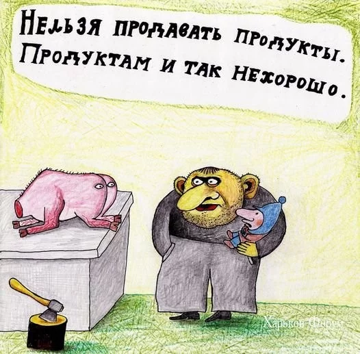f41c8324f03dd111.webp