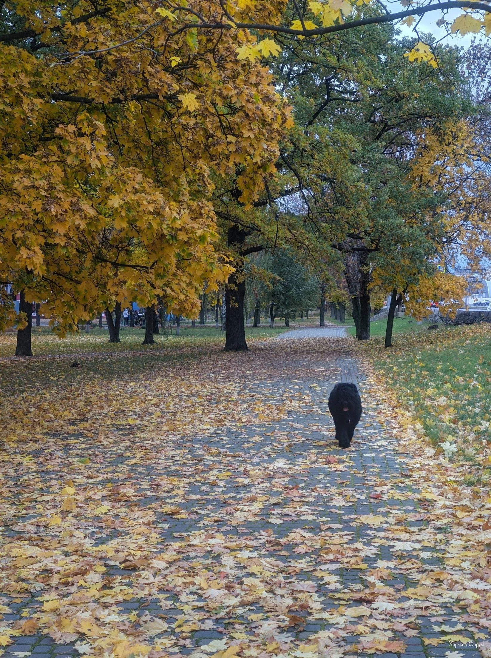 f43a5a9c4ba698ba264.webp