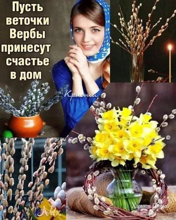 f43b86ab012a32ab2c0696.webp