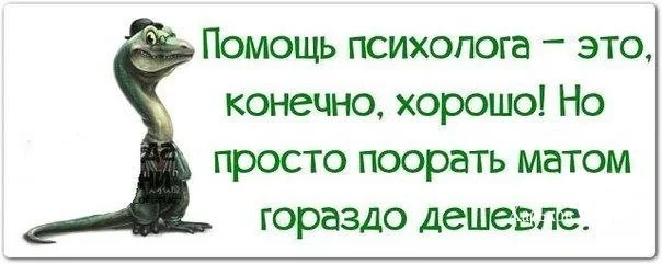 f43ec7fa9851168ca79b70d2.webp