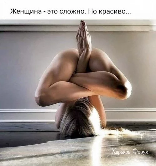 f44fb92c7ab7f02f9507bd.webp