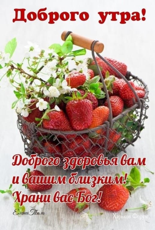 f45f46214b1696b5038.jpg