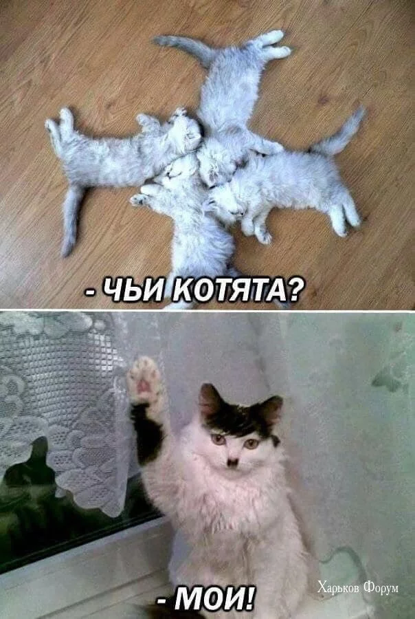 f468c8f892d00cbae0e.webp