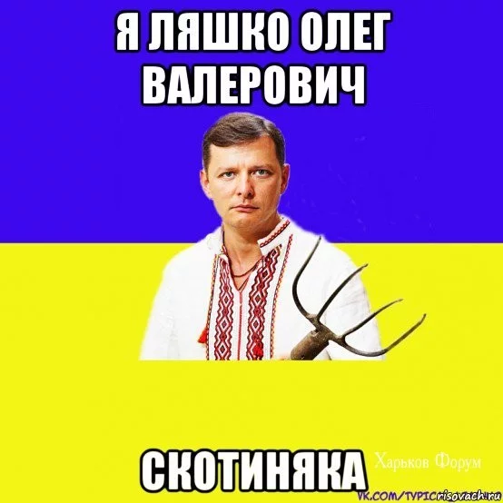 f49692cd31d437768c45.webp