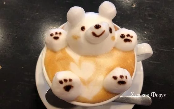 f49984fb6d91e6e7ae.webp