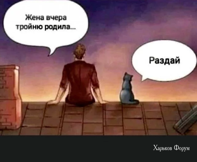 f4a7a0f1d35f4d214dc.webp