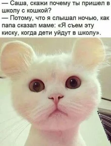 f4accb.webp
