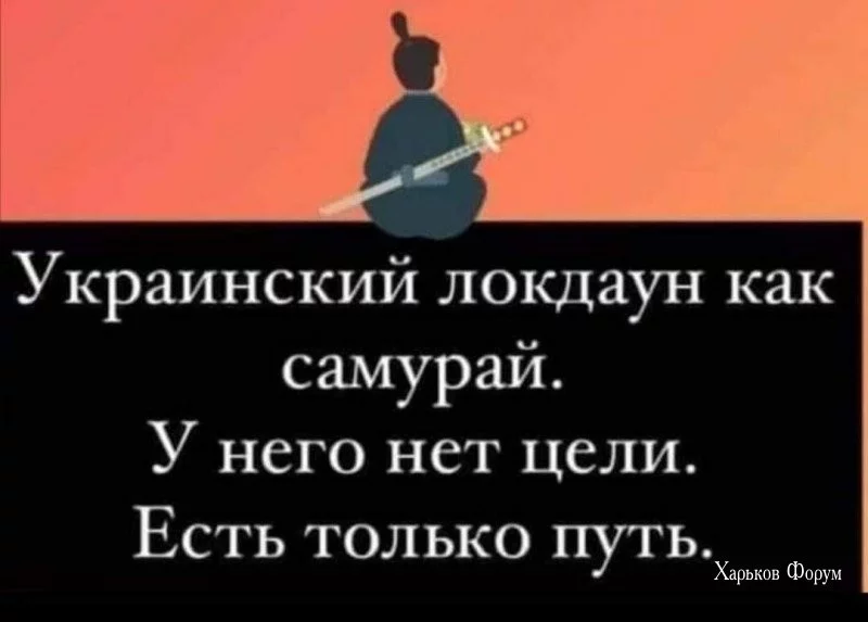 f4af351f767ebeec2e36c9.webp