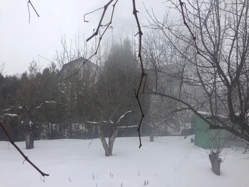 f4agjj.webp
