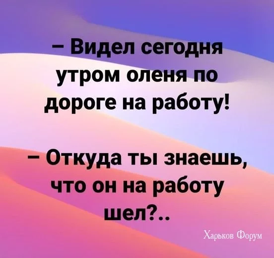 f4b1b3a1ddce1a8a19d6281e.webp