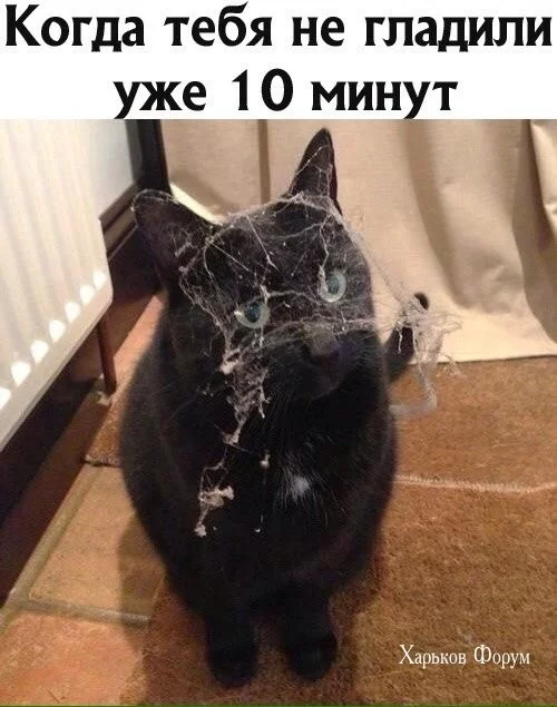 f4bedad198f7e4a70ddce2a.webp